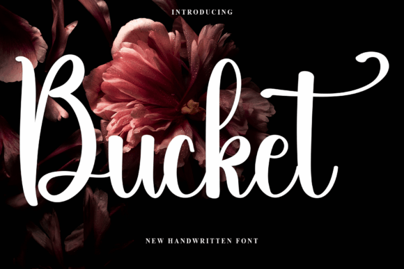 Bucket Font Review: Elevating Campaign Visuals with Style