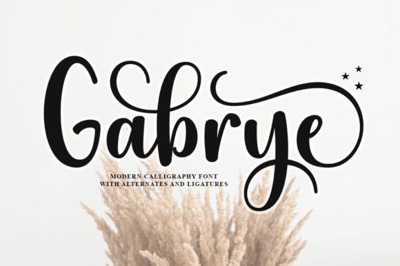 Gabrye: A Designer's Honest Review for Branding