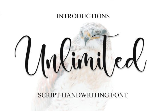 Unlimited Font: A Designer's Guide to Modern Script Typography